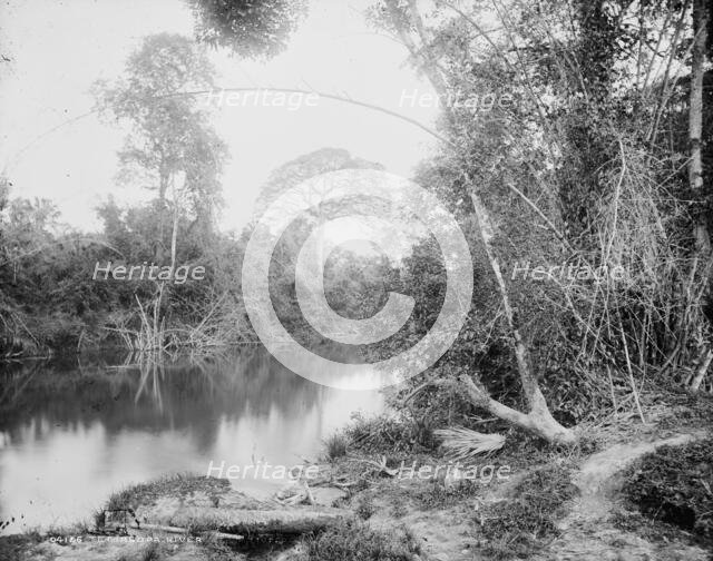 Temasopa (i.e. Tamasopo) River, between 1880 and 1897. Creator: William H. Jackson.