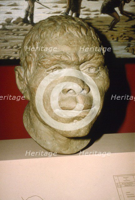 Neanderthal Man. Reconstruction of head, c20th century. Artist: Unknown.