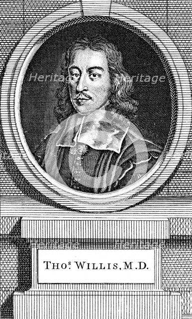 Thomas Willis, 17th century English physician, 1742. Artist: George Vertue