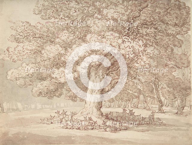 Herd of deer under an oak tree, 1775-1827. Creator: Thomas Rowlandson.