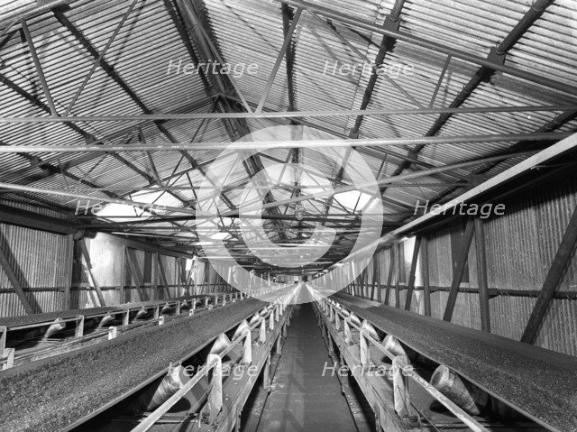 Triple conveyors at Manvers Main coal preparation plant, Wath upon Dearne, South Yorkshire, 1956. Artist: Michael Walters