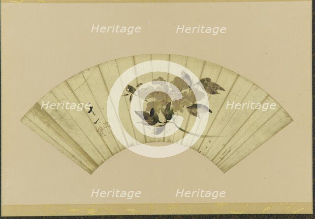 Peony, early 19th century. Creator: Unknown.