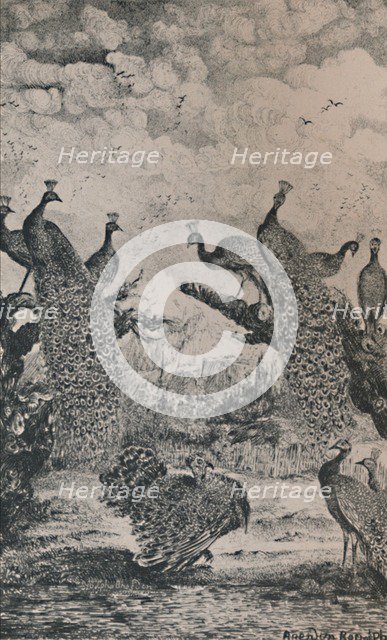 'The Peacocks', 1869, (1946). Artist: Rodolphe Bresdin.