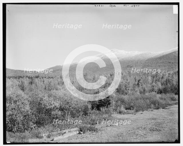Presidential Range from Twin River, Mount Pleasant, White Mountains, between 1890 and 1901. Creator: Unknown.