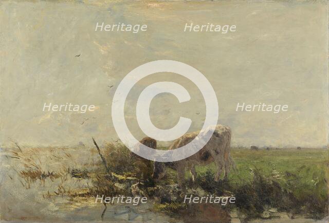 Cows by a pond, 1880-1910.  Creator: Willem Maris.