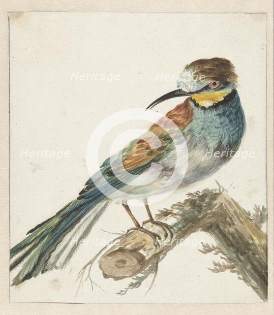 Bee-eater (Merops apiaster), 1650-1719. Creator: Jan Weenix.