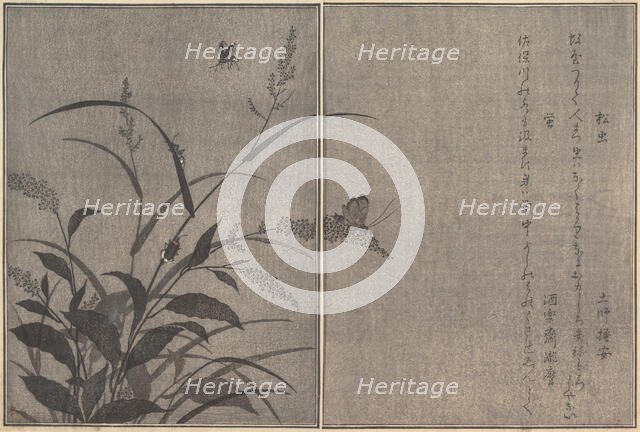Tree cricket (Matsumushi); Firefly (Hotaru)..., 1788. Creator: Kitagawa Utamaro.