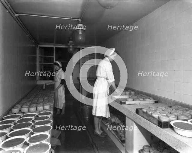 Making pork pies, Schonhut's butchery factory, Rawmarsh, South Yorkshire, 1955. Artist: Michael Walters
