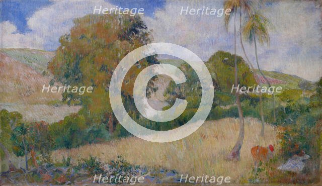 Meadow on Martinique, 1887. Creator: Gauguin, Paul Eugéne Henri (1848-1903).
