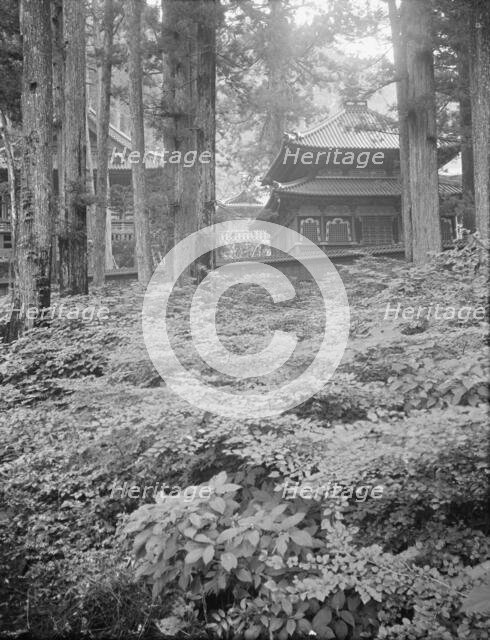 Travel views of Japan and Korea, 1908. Creator: Arnold Genthe.