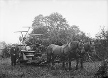 Harvesting machine, Hellidon, Northamptonshire, c1896-c1920. Artist: Alfred Newton & Sons