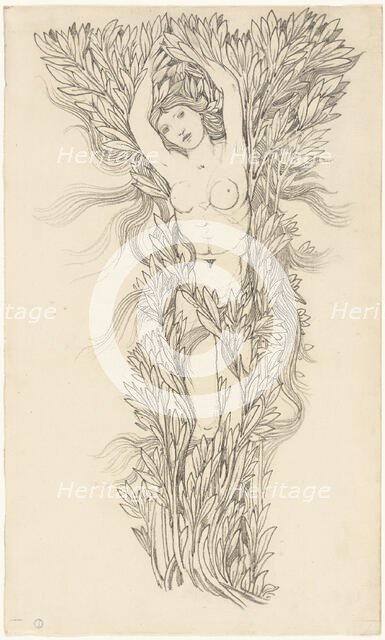 Daphne, n.d. Creator: Sir Edward Coley Burne-Jones.