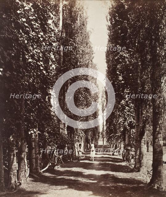 India, Printed 1868. Creator: Samuel Bourne.