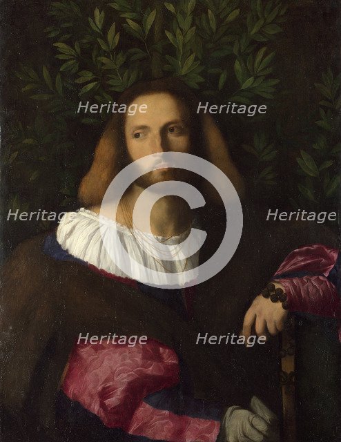 Portrait of a Poet (Ludovico Ariosto), c. 1516. Artist: Palma il Vecchio, Jacopo, the Elder (1480-1528)