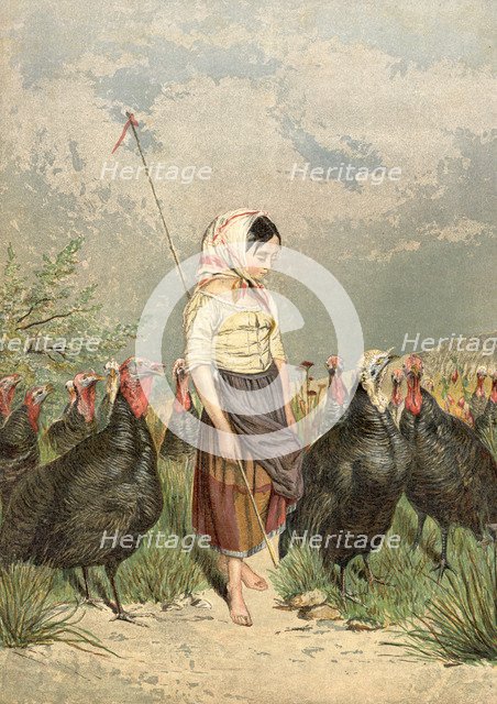 'The Turkey Guardian', 1858. Artist: Unknown