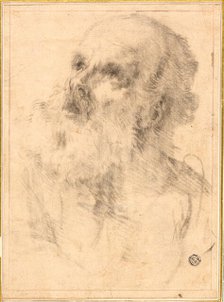 Head of an Old Man, n.d. Creator: Bartolomé Esteban Murillo.