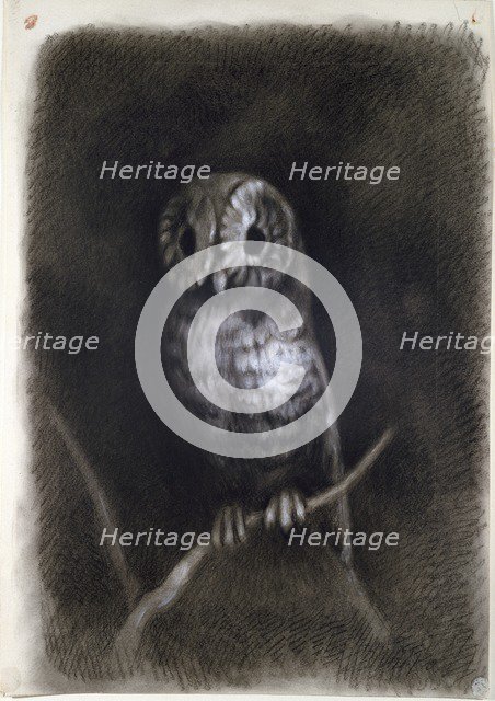 Owl, copied from a Photograph of Mantegna's Fresco, 1872 or earlier. Artist: Arthur Burgess.