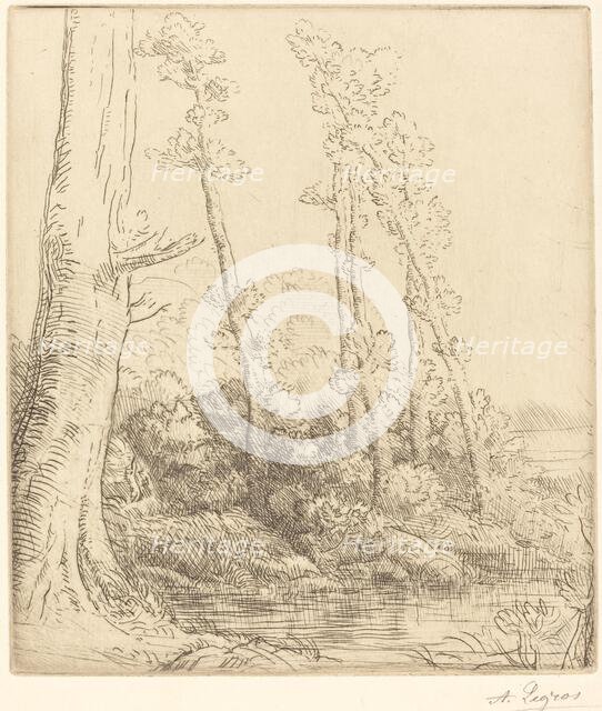 Little Pond (La petite mare). Creator: Alphonse Legros.