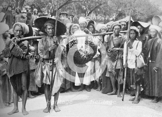 The spoils of the jungle, 1902. Artist: Unknown.