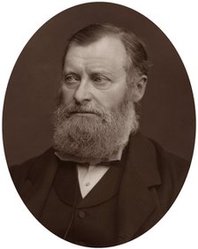 William Edward Forster MP, 1878.Artist: Lock & Whitfield