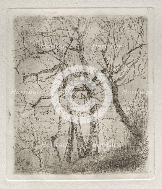 Trees, 1878. Creator: Otto H. Bacher (American, 1856-1909).