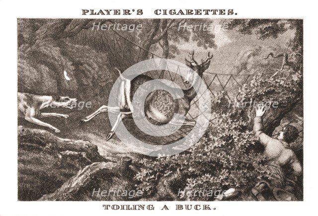 'Toiling a Buck', (1924). Creator: Unknown.