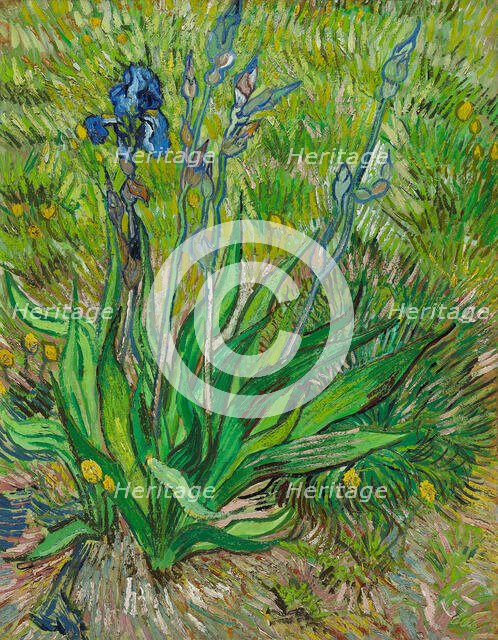 Iris, 1890. Creator: Gogh, Vincent, van (1853-1890).