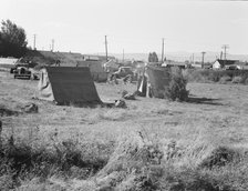 Squatter camp entering potato town, Malin, Klamath County, Oregon, 1939. Creator: Dorothea Lange.