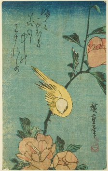 Yellow bird and hibiscus, c. 1830s. Creator: Ando Hiroshige.