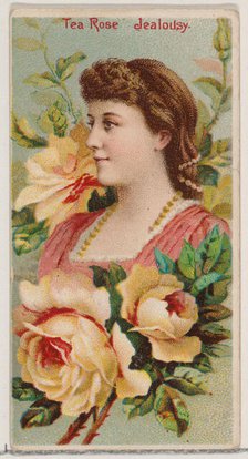 Tea Rose: Jealousy, from the series Floral Beauties and Language of Flowers (N75) for Duke..., 1892. Creator: Donaldson Brothers.