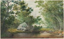 Landscape with Wooded Stream and Boulder, c. 1880s. Creator: William Allen Wall (American, 1801-1885).