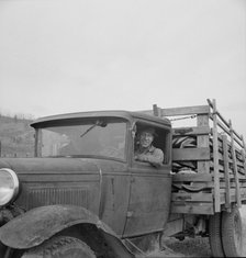 Stump farmer bringing load of slab wood to sell in town, Bonner County, Idaho, 1939. Creator: Dorothea Lange.