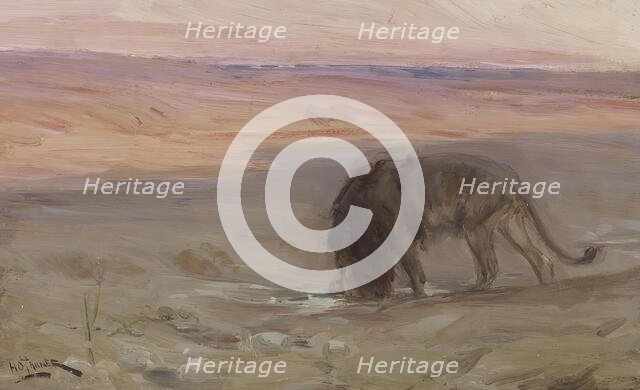 Lion Drinking, c1897. Creator: Henry Ossawa Tanner.