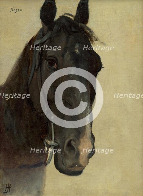 Head study of a black horse, 1890-1900. Creator: Jozef Hanula.