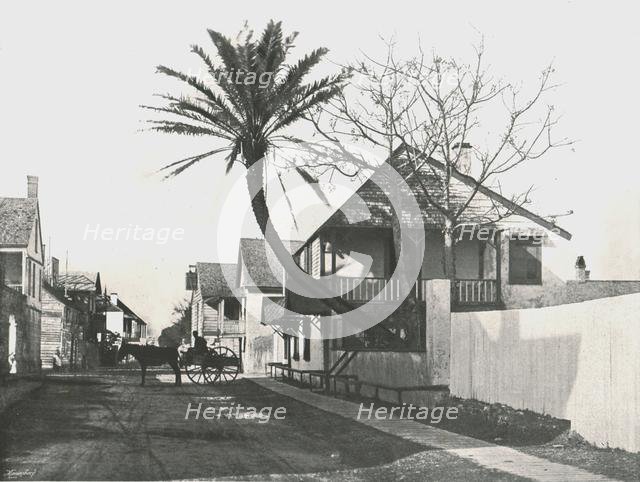 Francis Street, St Augustine, USA, 1895.  Creator: Unknown.