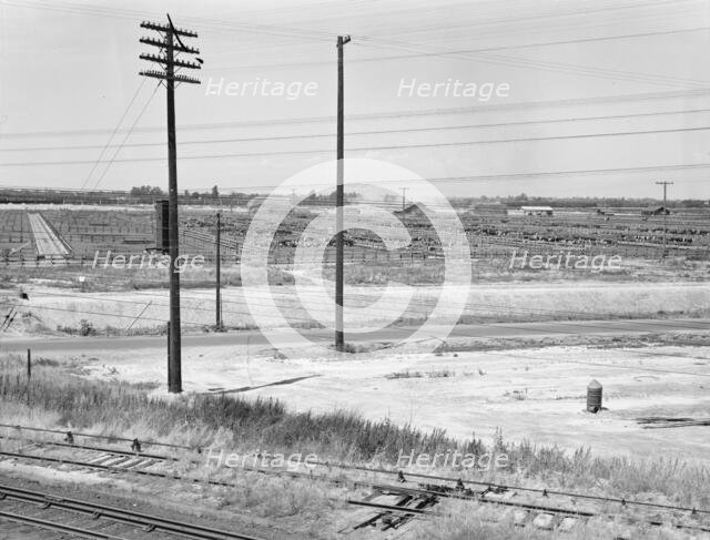 Stockyards seen from overpass, Between Tulare and Fresno, California, 1939. Creator: Dorothea Lange.