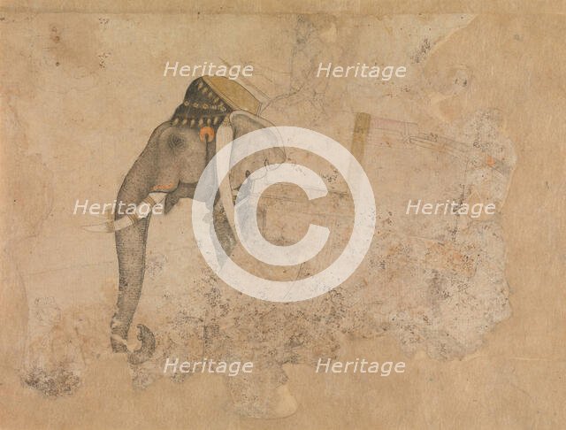 Elephant and Rider, ca. 1640. Creator: Attributed to Hashim.