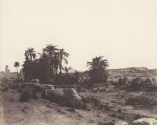 Karnak (Thèbes), Avenue de Sphinx - Vue Générale Prise du Point G, 1851-52, printed 1853-54. Creator: Félix Teynard.
