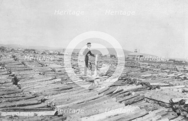Frank G. Carpenter on woodpile, between c1900 and 1916. Creator: Unknown.