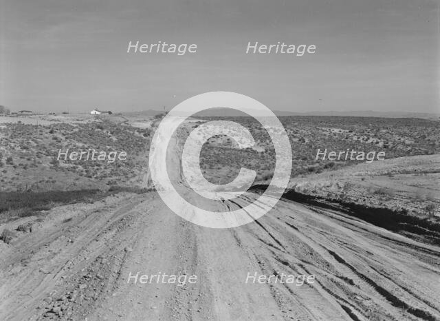 View of newly reclaimed bench land, Dead Ox Flat, Malheur County, Oregon, 1939. Creator: Dorothea Lange.