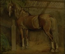 Sixteen-year-old stallion of the Knabstrup breed, 1847. Creator: Johan Thomas Lundbye.