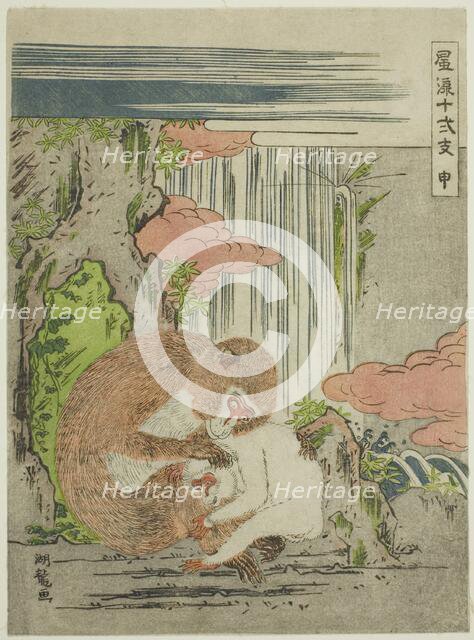 Monkey (Saru), from the series "Fashionable Twelve Signs of the Zodiac (Furyu...", c. 1773/75. Creator: Isoda Koryusai.