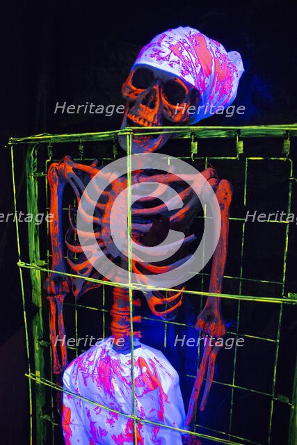 Halloween, San Diego, California, USA, 2022. Creator: Ethel Davies.