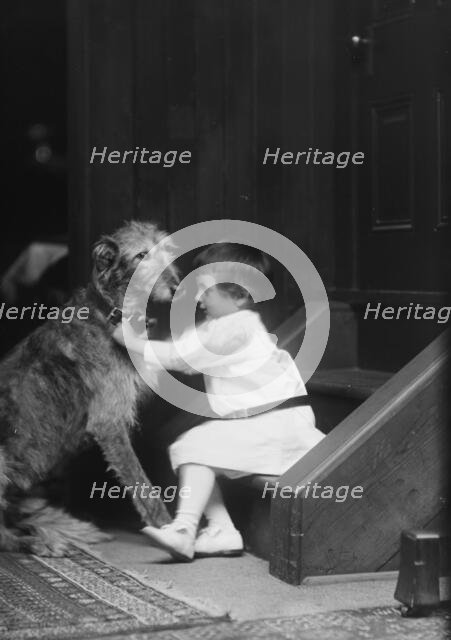Plottner boy with dog, portrait photograph, 1907 Oct. 16. Creator: Arnold Genthe.