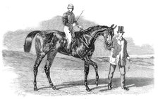 Sweetsauce, the winner of the Stewards' and the Goodwood Cups, 1860. Creator: Unknown.