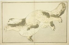 Fox, from The Picture Book of Realistic Paintings of Hokusai (Hokusai shashin gafu), Japan, c. 1814. Creator: Hokusai.