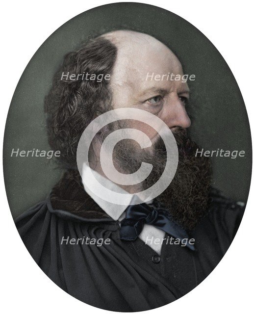 Alfred Tennyson, DCL, FRS, English Poet Laureate, 1883. Artist: Lock & Whitfield.