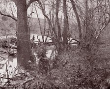 Blackburn's Ford / Rapidan River, The Wilderness, 1861-65. Creator: Tim O'Sullivan.