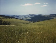 Farmland in the Catskill Mountains, Richmondsville, N.Y., 1943. Creator: John Collier.