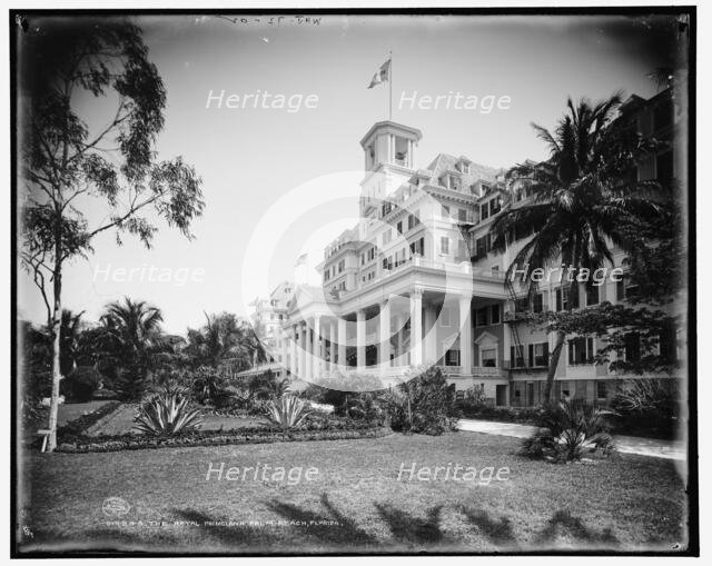 The Royal Poinciana, Palm Beach, Florida, c1902. Creator: William H. Jackson.